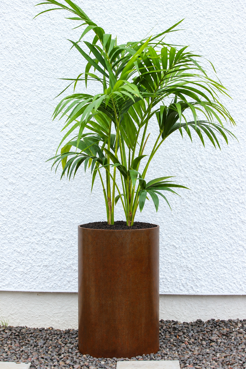 Corten Steel Bottomless Planter