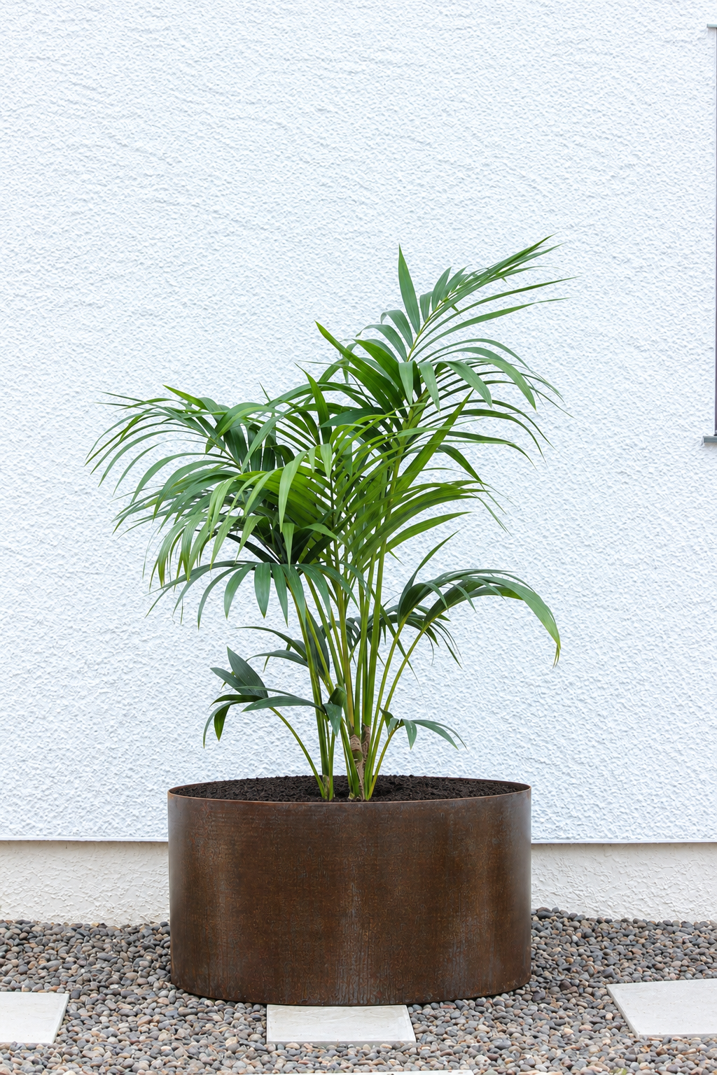 Corten Steel Bottomless Planter