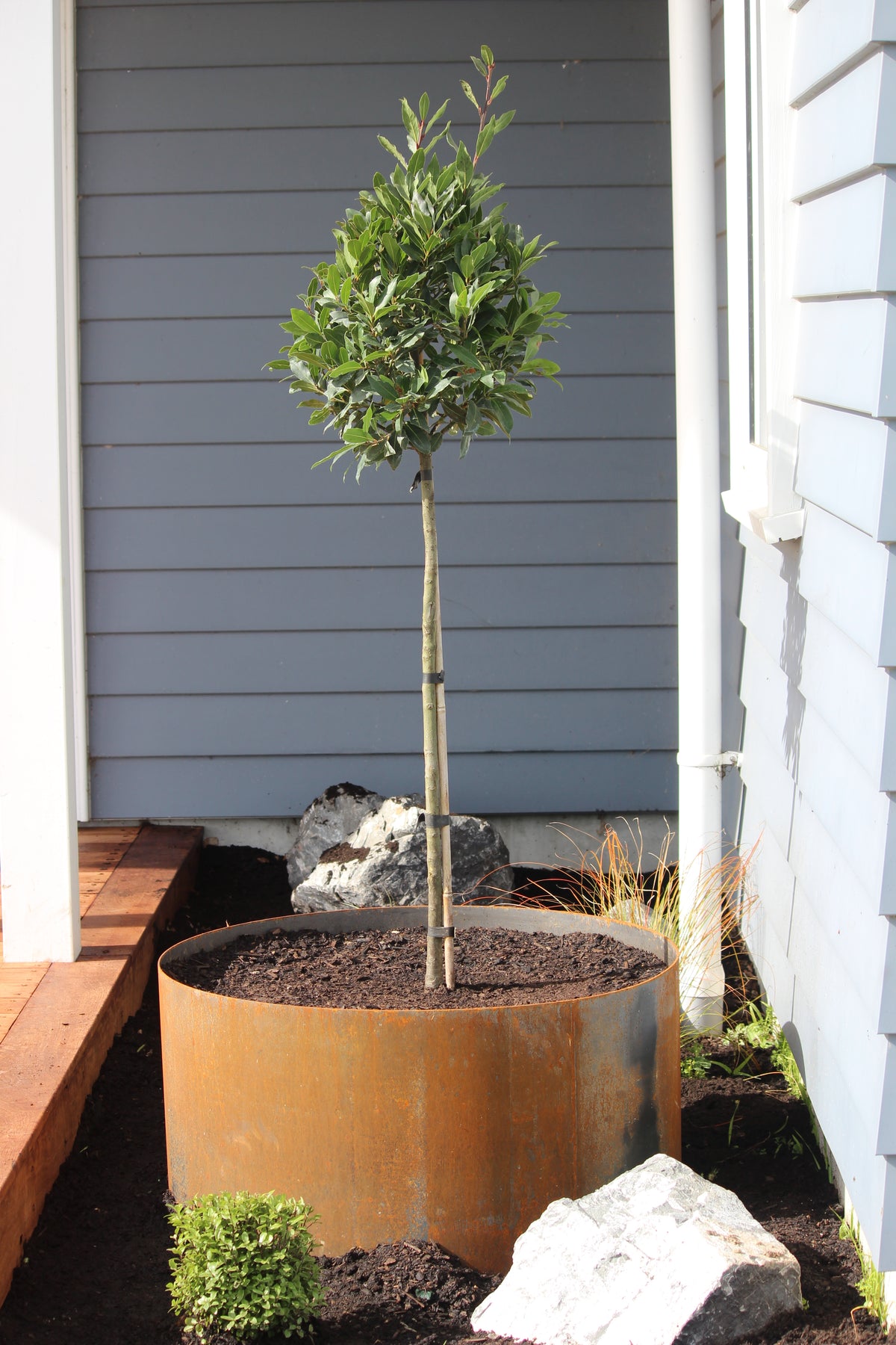 Corten Steel Bottomless Planter