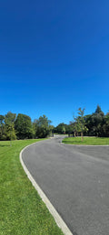 AVENUE PLANTING