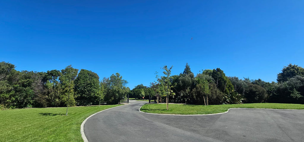 AVENUE PLANTING