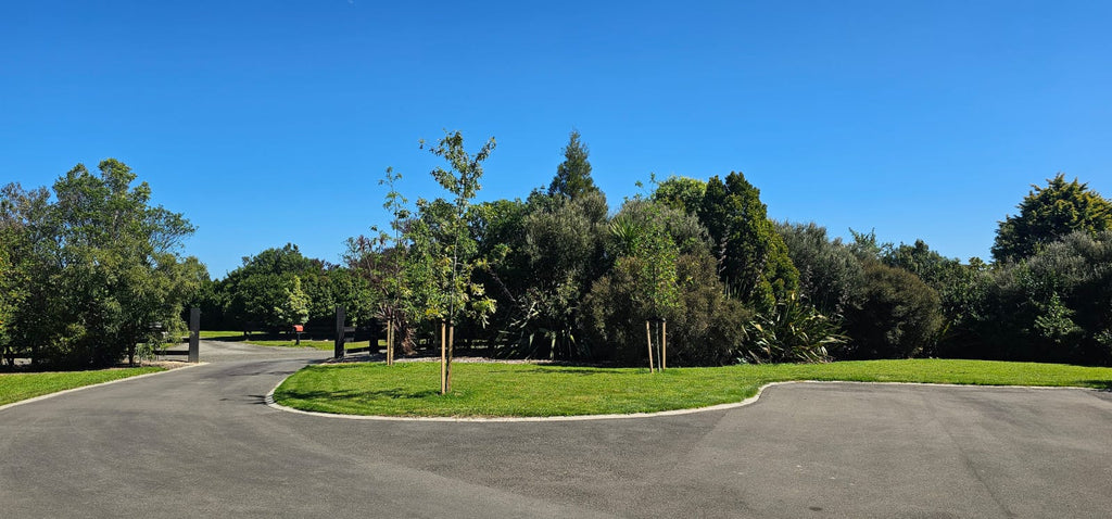 AVENUE PLANTING