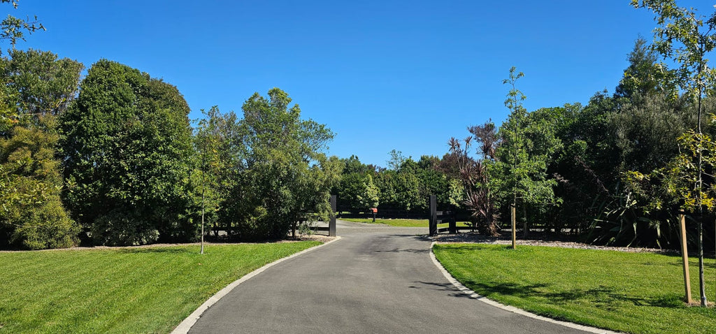 AVENUE PLANTING