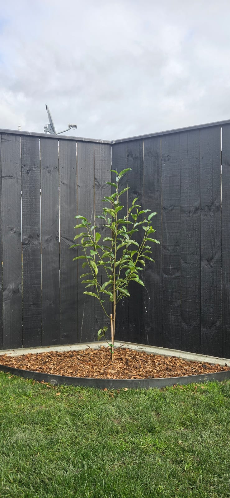 CORTEN STEEL GARDEN EDGING