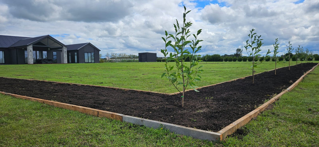 RAISED GARDENS