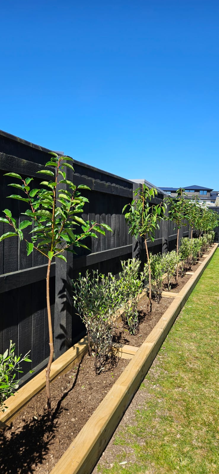 RAISED GARDENS