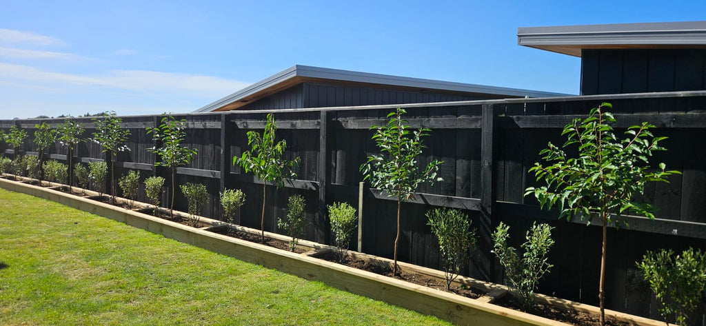 LANDSCAPE DESIGN