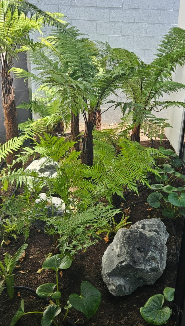 LANDSCAPE DESIGN