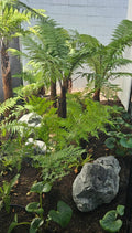 LANDSCAPE DESIGN