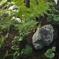 Large Garden Feature Rocks