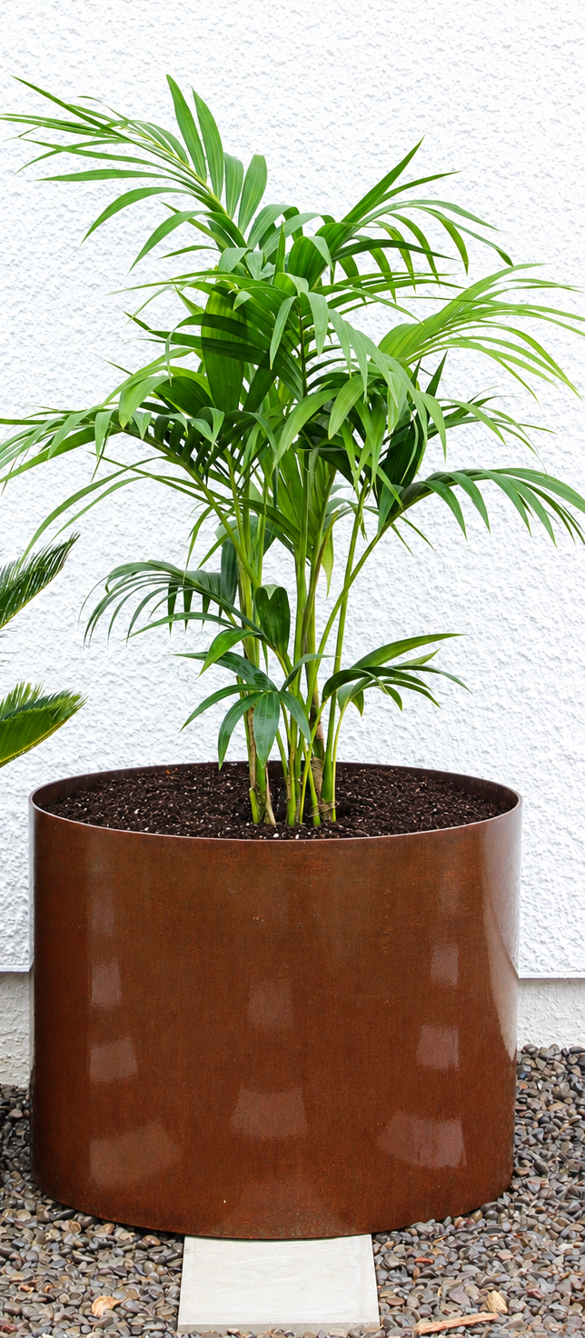 Corten Steel Bottomless Planter