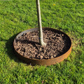 Corten Steel Tree Ring 100x800mm