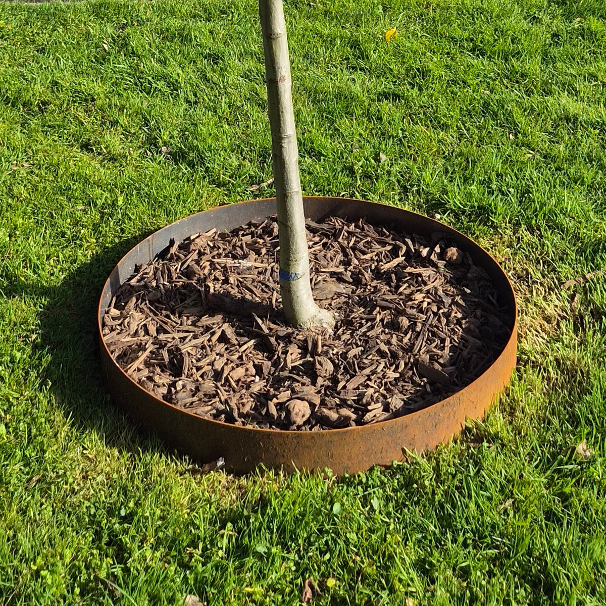 Corten Steel Tree Ring 100x800mm