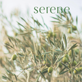 SERENE package deal